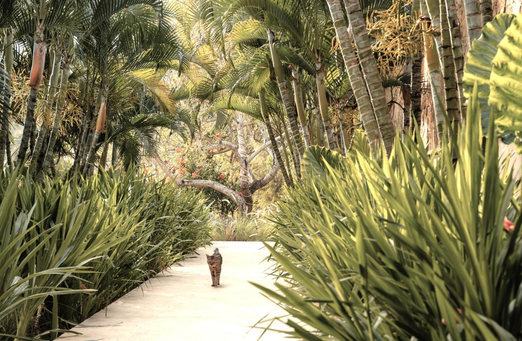 Hotel Origin Lombok Kuta  Zewnętrze zdjęcie